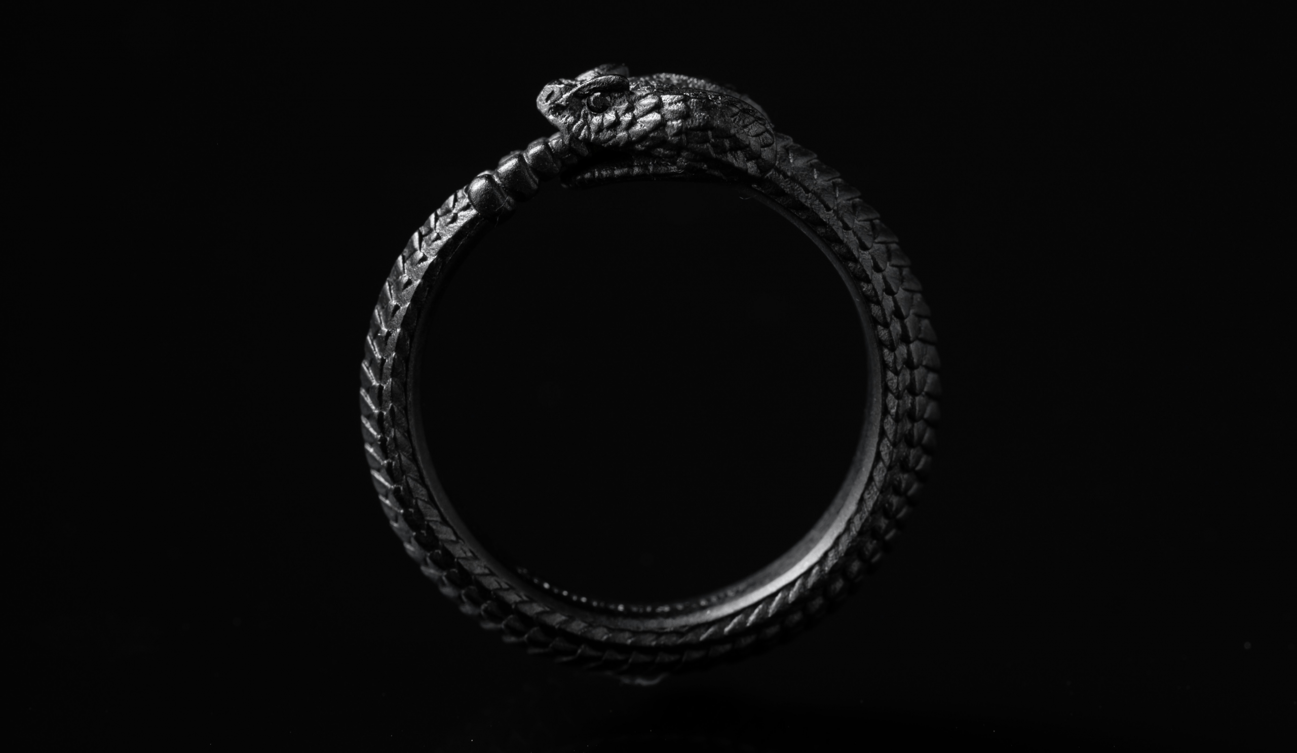 Black snake on black background eating its own tail representing AI