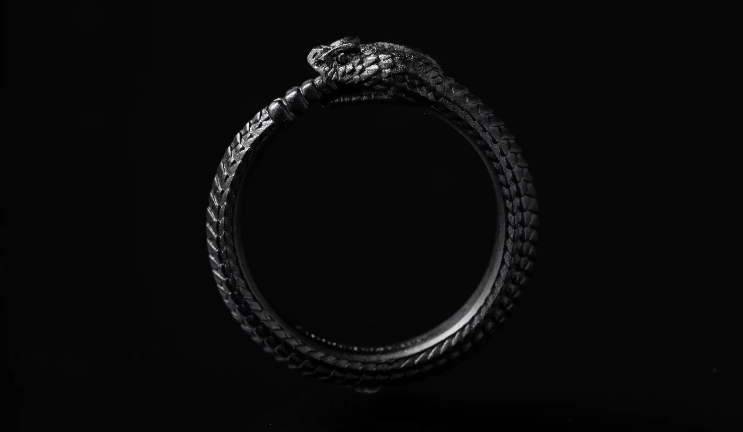 Black snake on black background eating its own tail representing AI